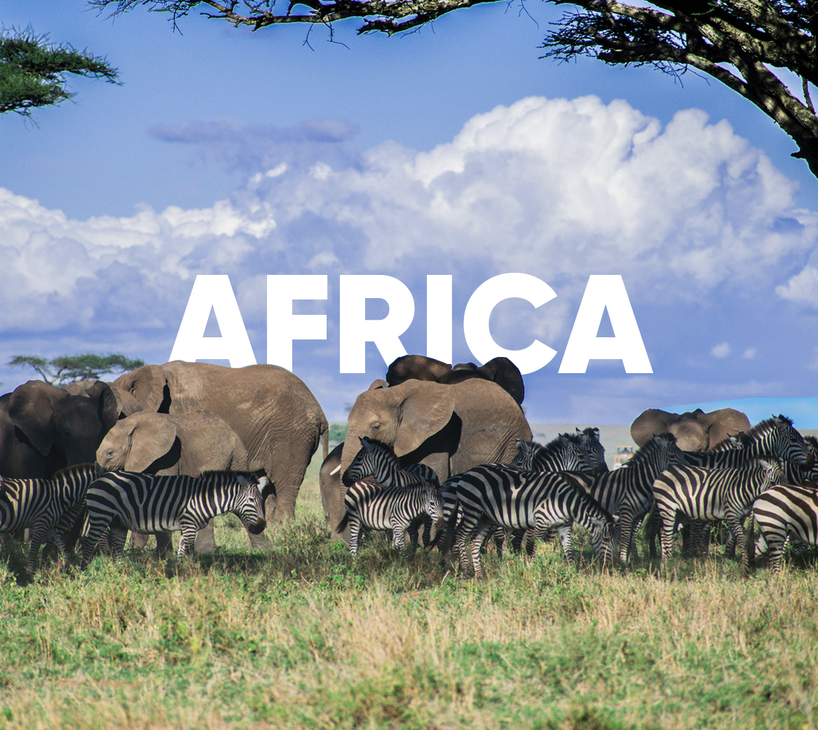 Serengeti, Tanzania · Africa