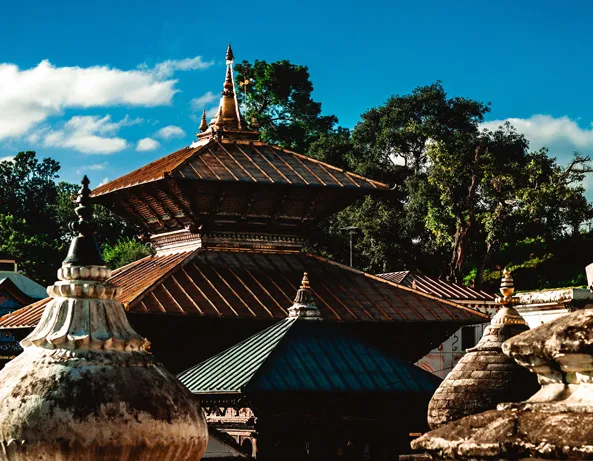 India & Nepal Wildlife Safari