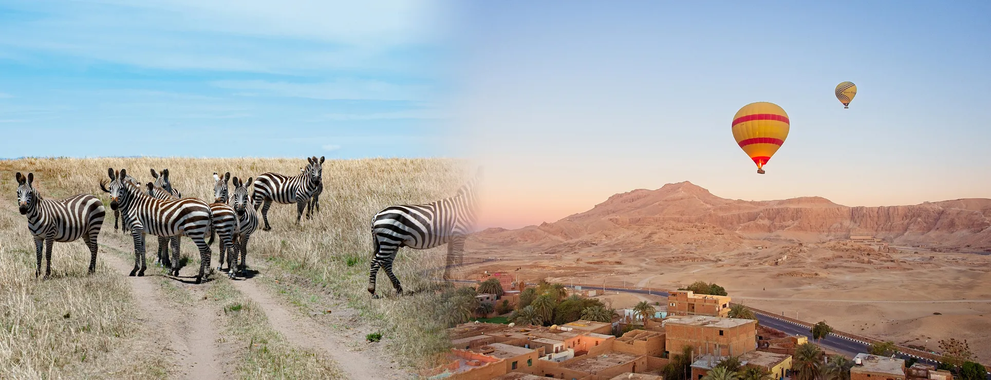 Custom Designed Tours